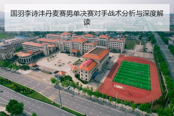 国羽李诗沣丹麦赛男单决赛对手战术分析与深度解读