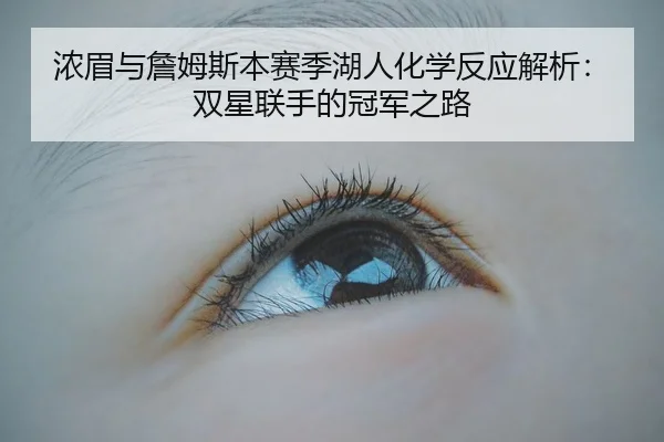 浓眉与詹姆斯本赛季湖人化学反应解析：双星联手的冠军之路