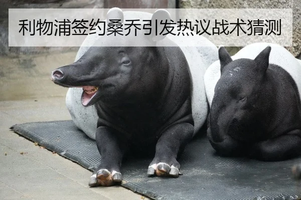 利物浦签约桑乔引发热议战术猜测